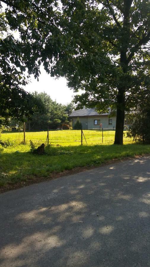 Apartamento Der Kleine Bauernhof Keine Arbeiter Zadnych Pracownikow Lubiatow  Exterior foto