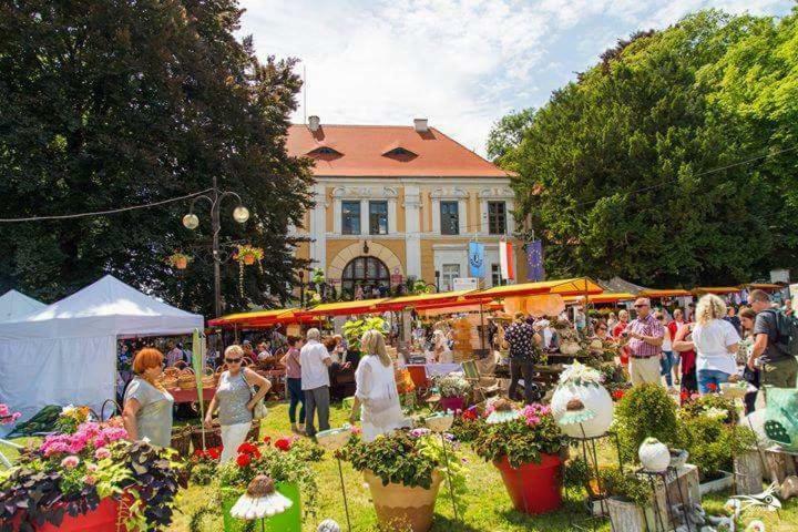 Apartamento Der Kleine Bauernhof Keine Arbeiter Zadnych Pracownikow Lubiatow  Exterior foto