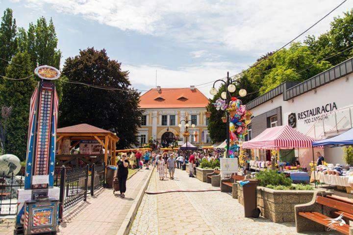 Apartamento Der Kleine Bauernhof Keine Arbeiter Zadnych Pracownikow Lubiatow  Exterior foto